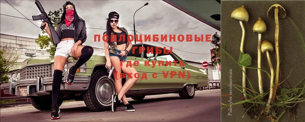 spice Армянск