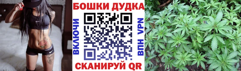 Канабис сатива  цена наркотик  Пугачёв 